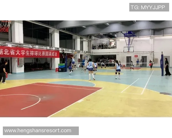 武汉排球队整体压制战术解析与排球热点探讨 武汉排球队整体压制战术解析与排球热点探讨