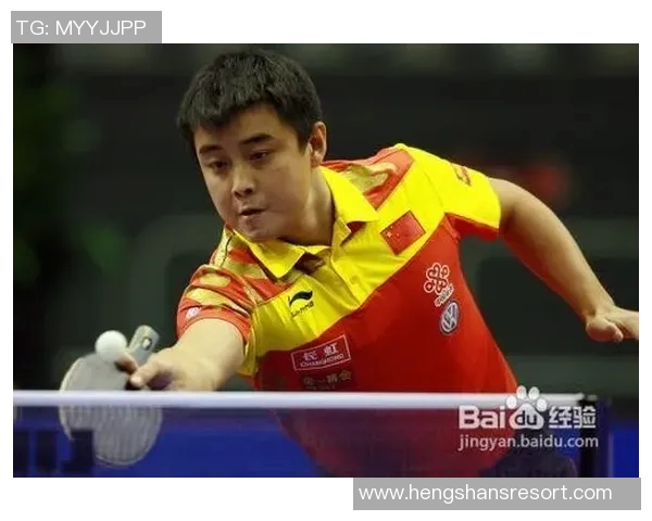 杭州羽毛球队反击之路的得失与启示分析